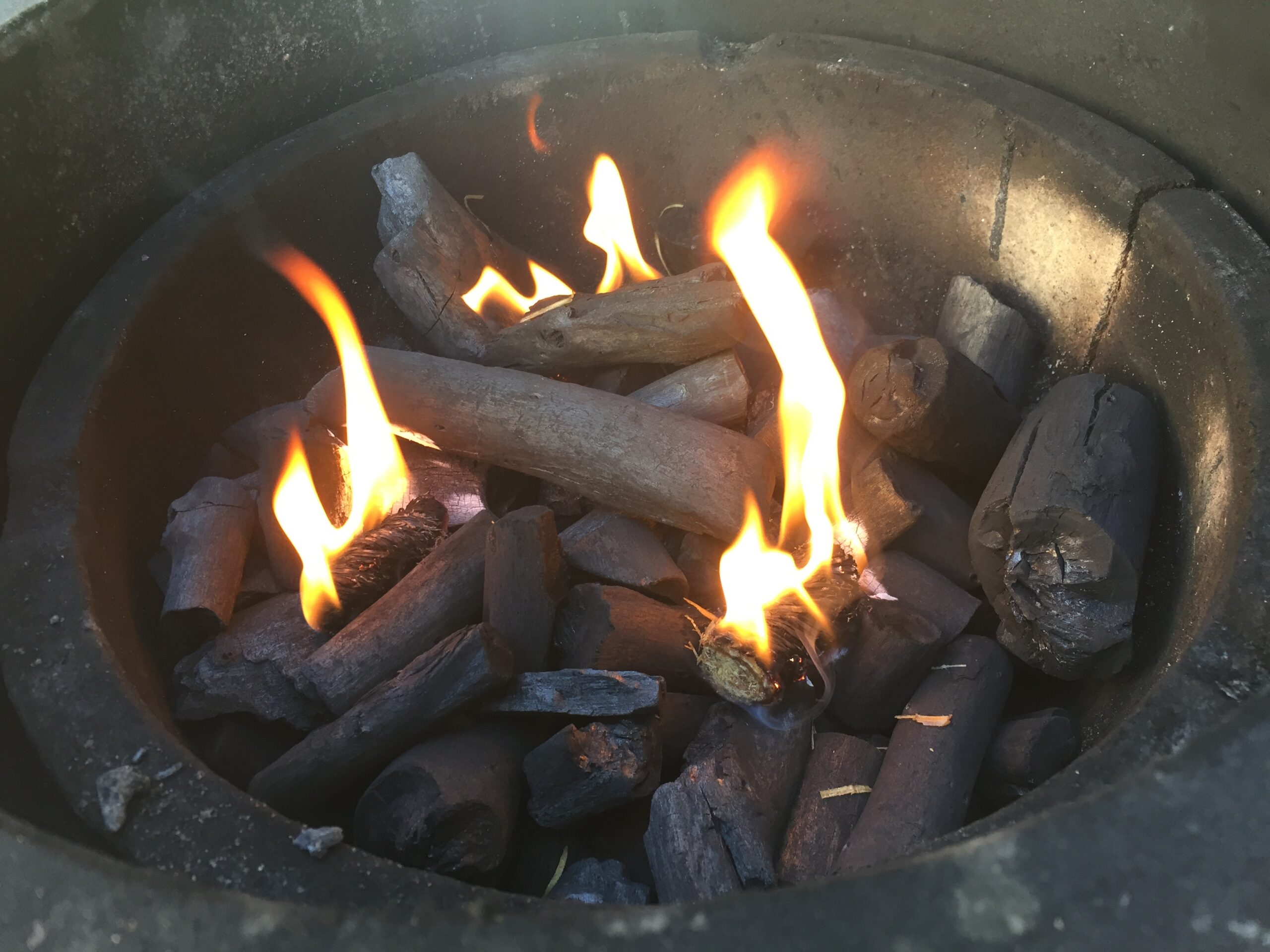 Soorten houtskool voor BBQ: welke houtskool kies je voor welke bereiding?